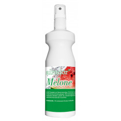 [502615] Airodor melone 200 ml
